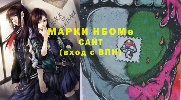 СК Новодвинск