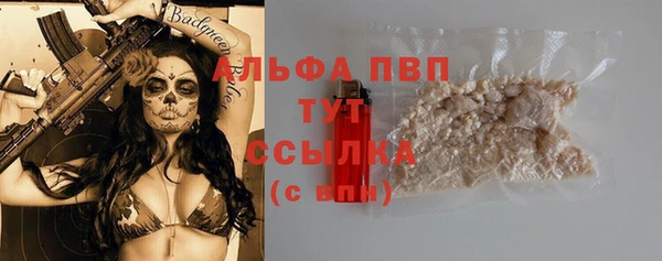Альфа ПВП Новозыбков