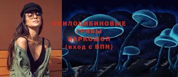 Альфа ПВП Новозыбков