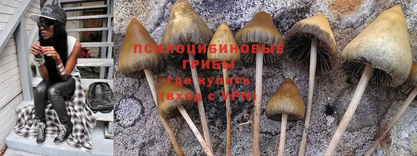 СК Новодвинск
