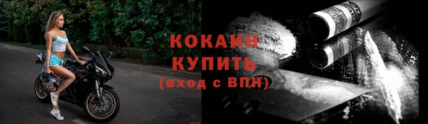 СК Новодвинск