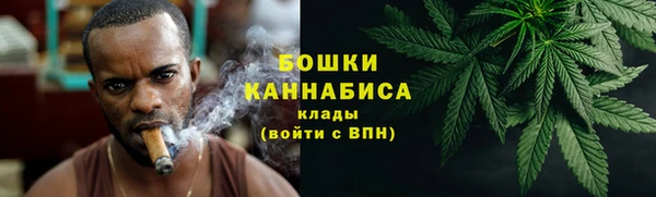 шишки Новокубанск