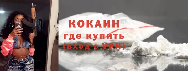 шишки Новокубанск