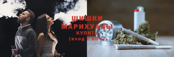 шишки Новокубанск