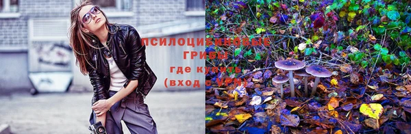 Альфа ПВП Новозыбков