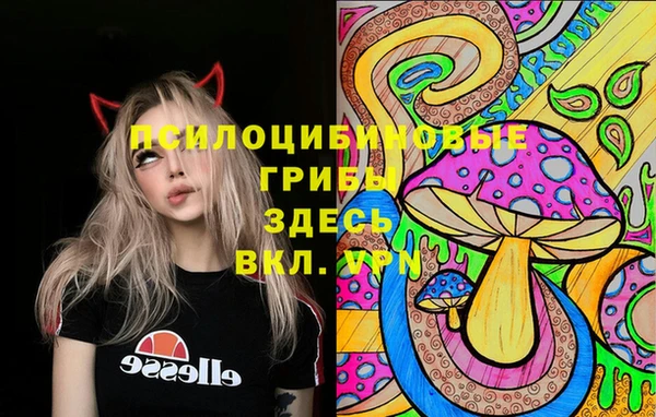 СК Новодвинск
