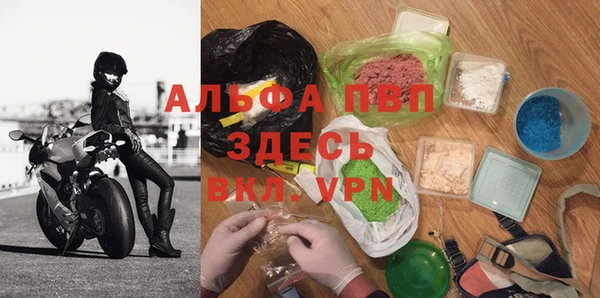 шишки Новокубанск