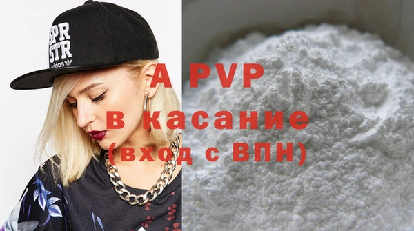 СК Новодвинск