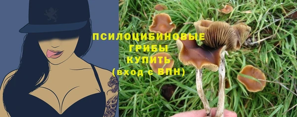 Альфа ПВП Новозыбков