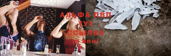 шишки Новокубанск