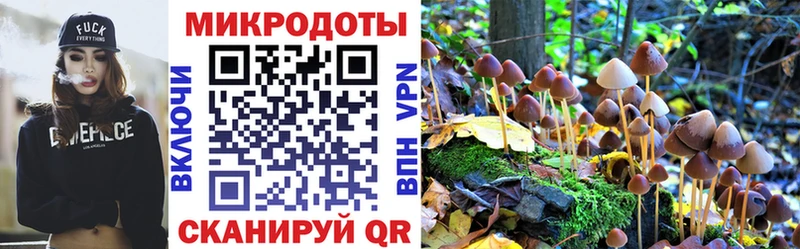 сайты даркнета Telegram  Абдулино  Псилоцибиновые грибы Psilocybe 