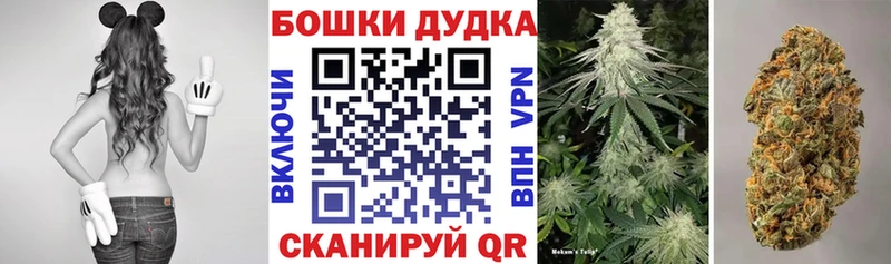 закладки Абдулино МАРИХУАНА SATIVA & INDICA